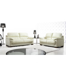 Echtes Leder Modernes verstellbares Sofa (C520B)